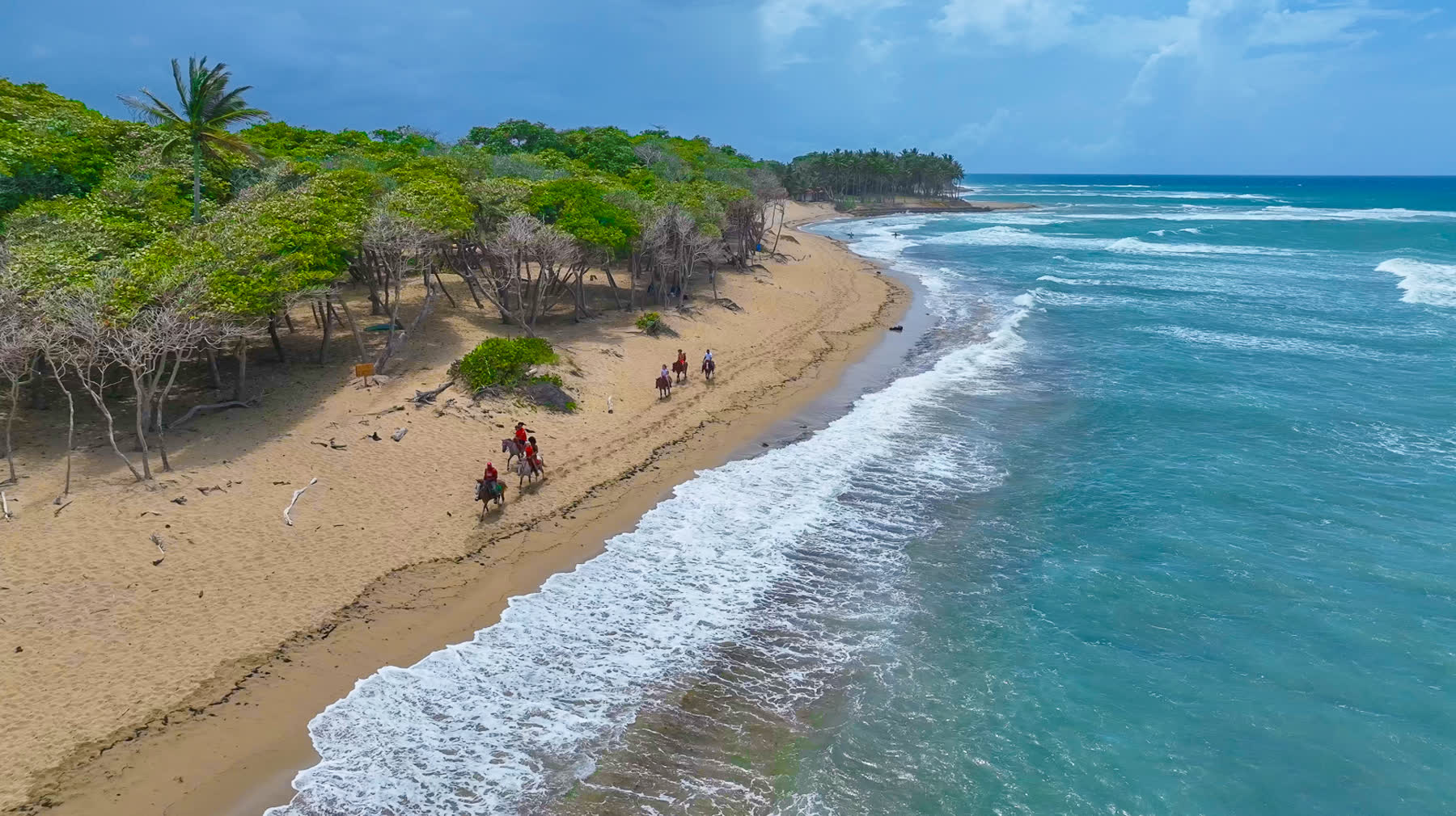 Riders on horseback along the beach, surf rolling in