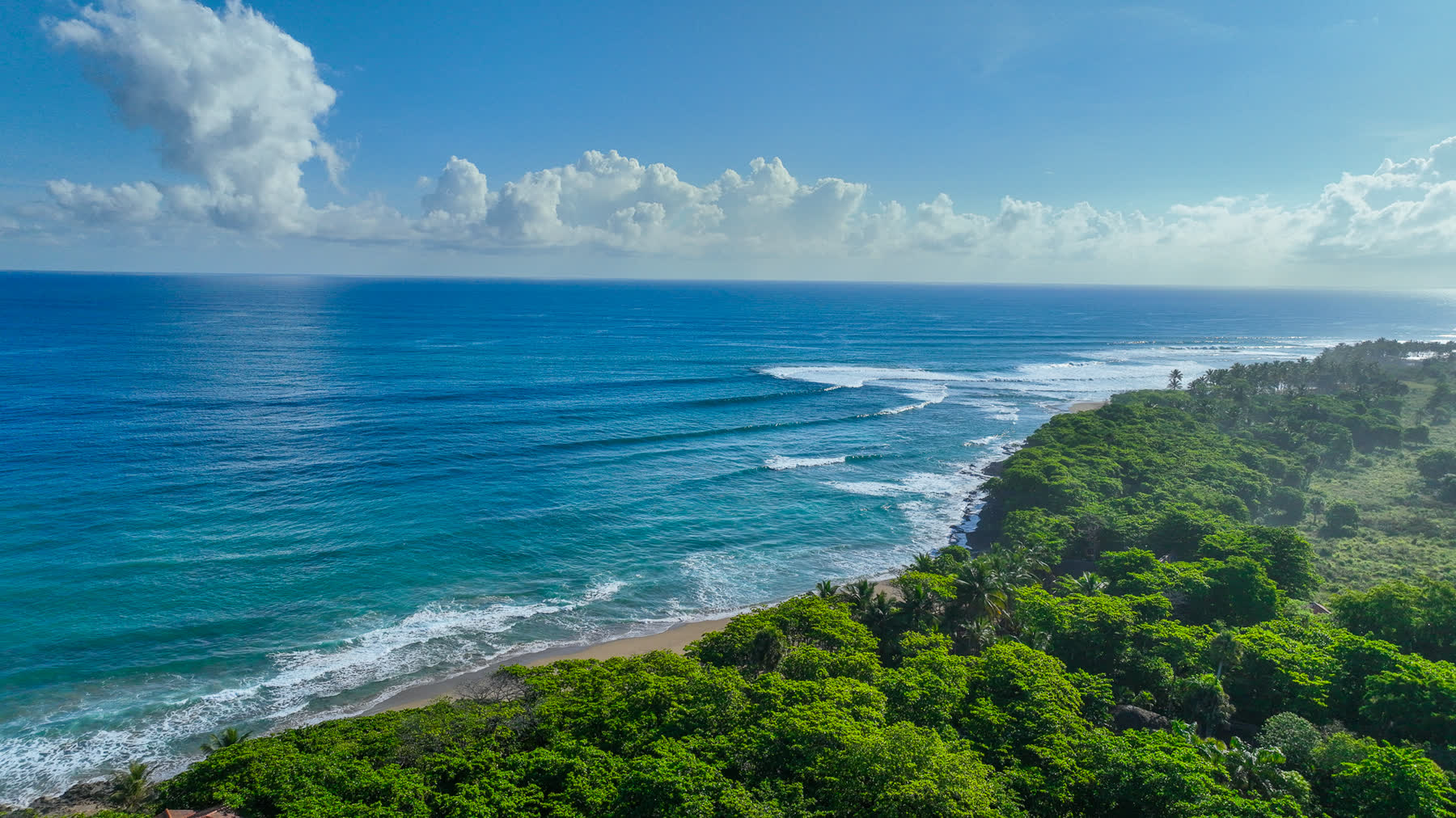 Empty beach and peeling waves along the green coastline